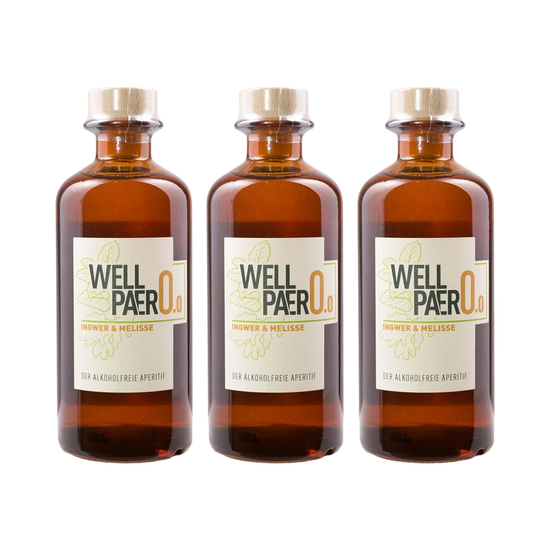 Wellpaero Ingwer Melisse – alkoholfrei