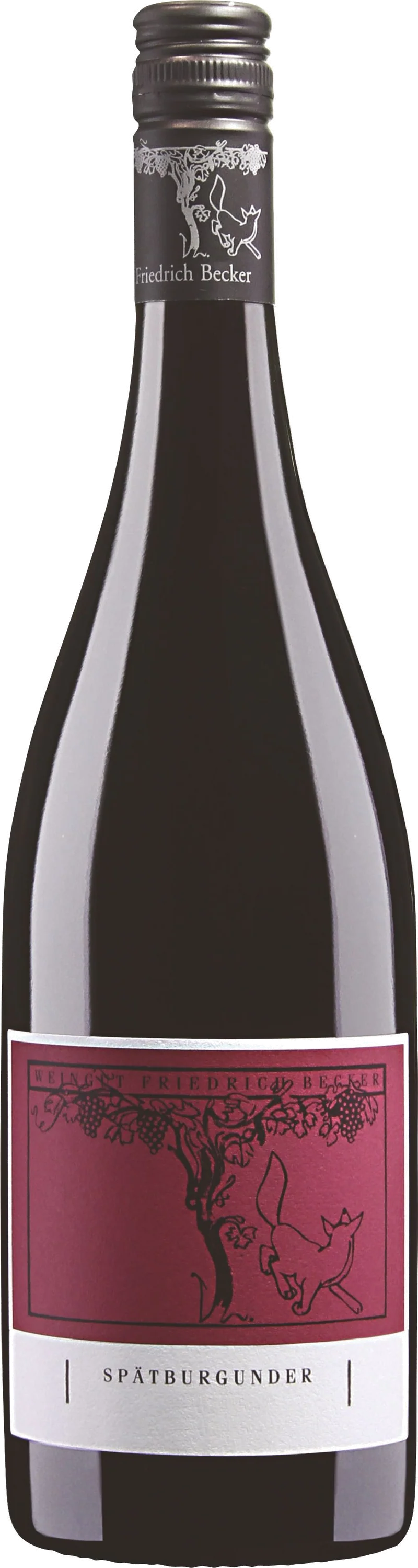 Friedrich Becker Le Petit Pinot Noir trocken