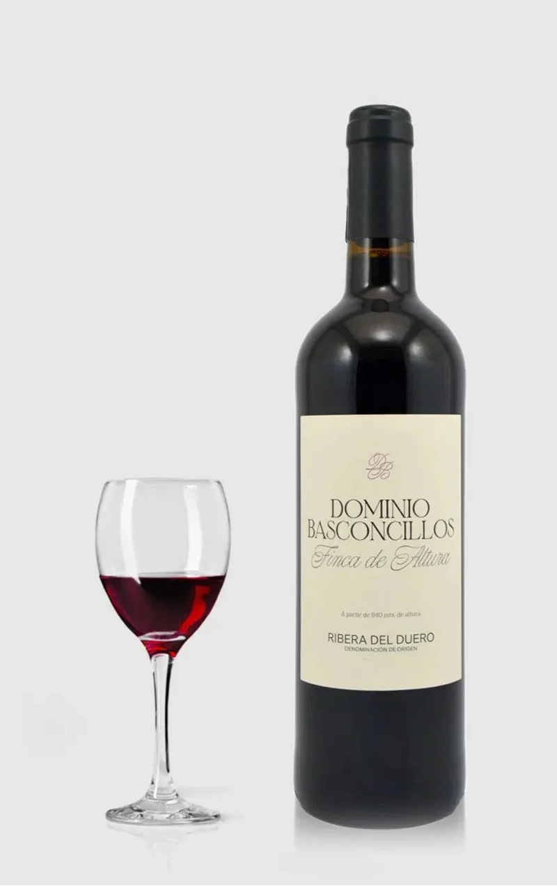 Dominio Basconcillos, Vina Magna Finca de Altura 2024