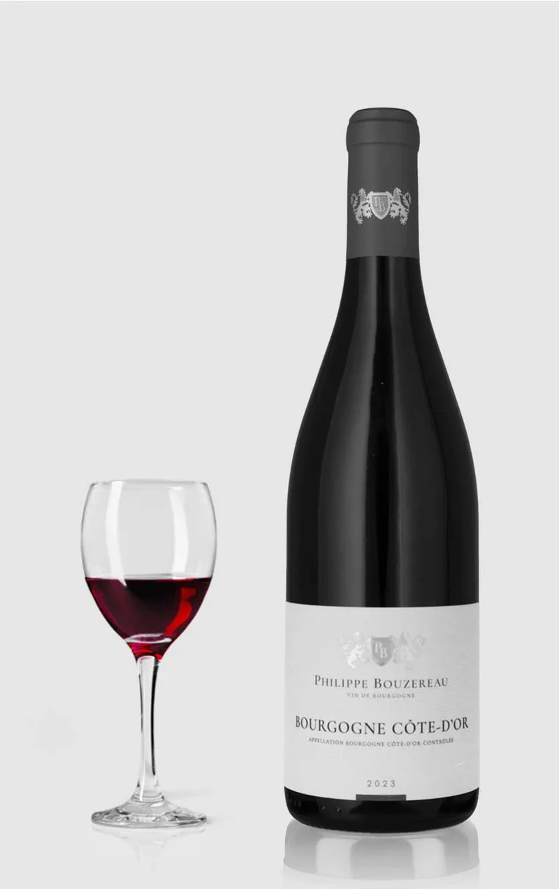 Domaine Philippe Bouzereau, Bourgogne Cote D’or 2023