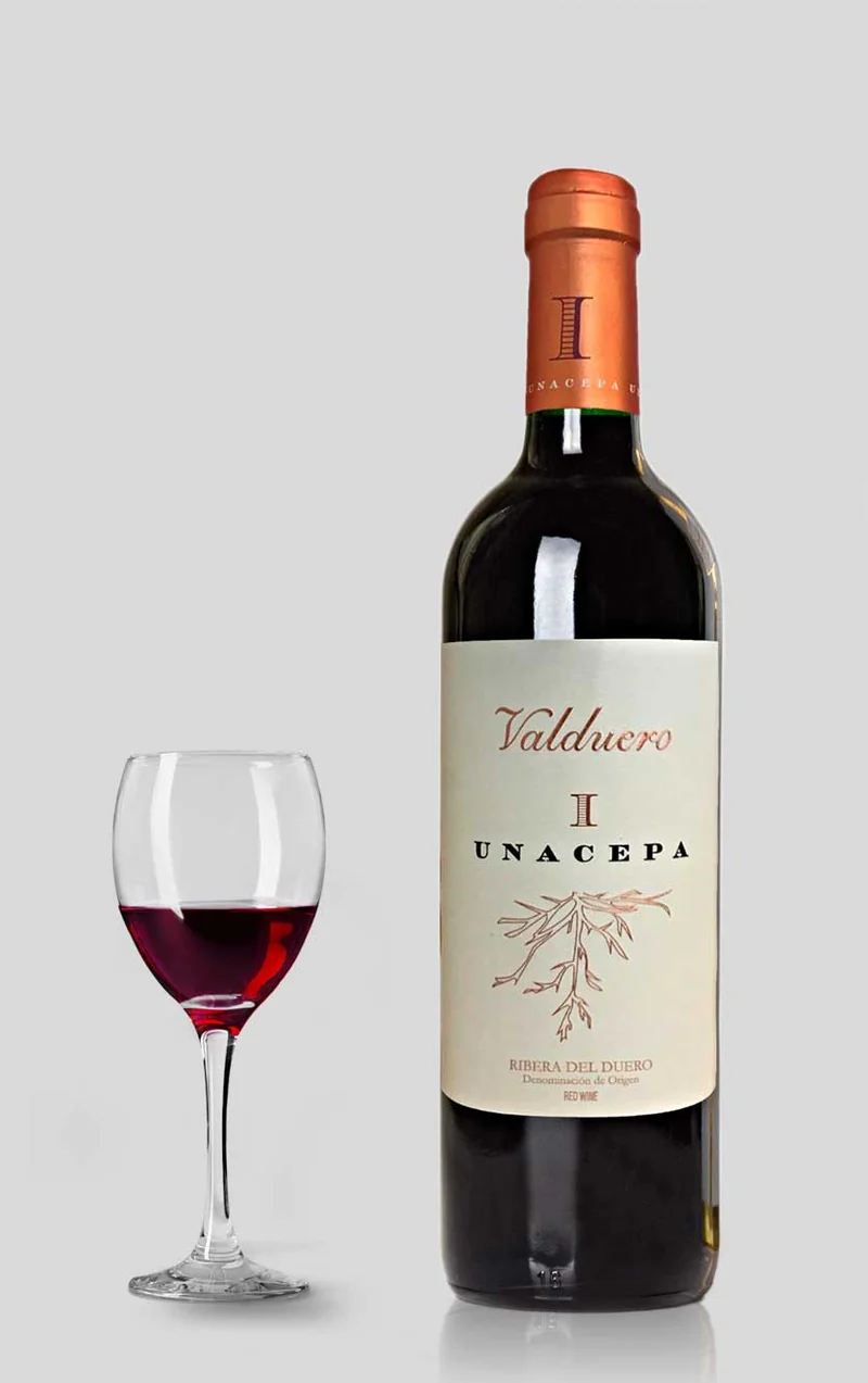 Valduero Ribera del Duero Una Cepa 2019