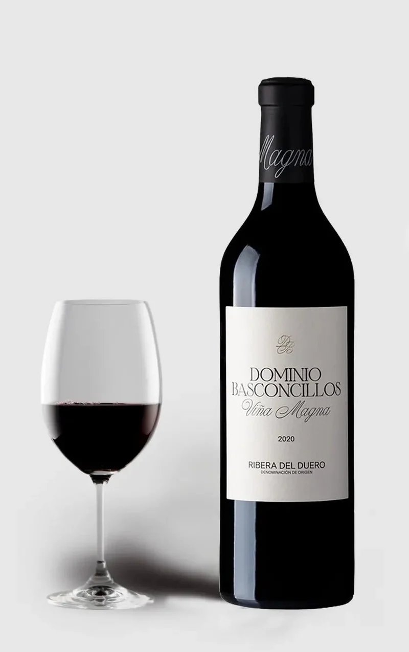 Dominio Basconcillos, Crianza 2020