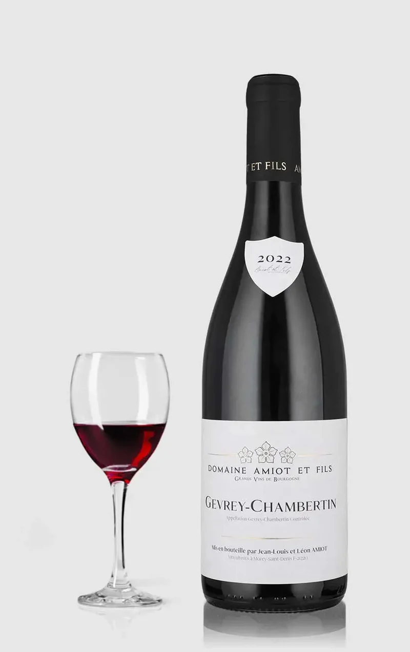 Gevrey Chambertin, Léon Amiot 2021