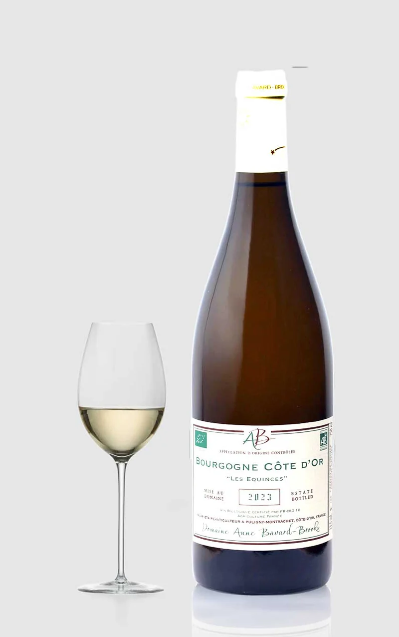 Domaine Jean-Pierre Maldant, Burgundy Côte d'Or white Les Equinces 2023
