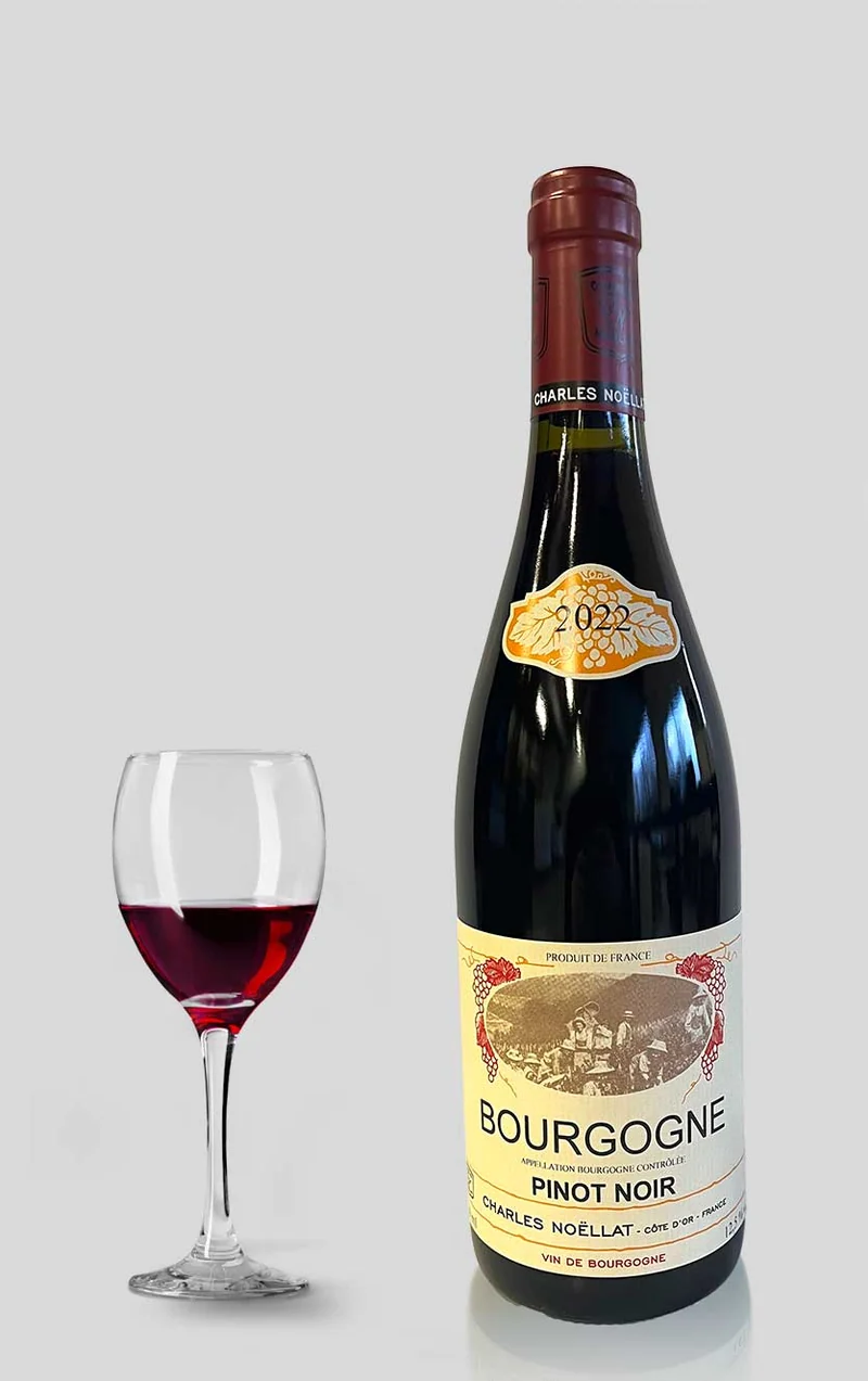 Bourgogne Pinot Noir Domaine Charles Noëllat 2022