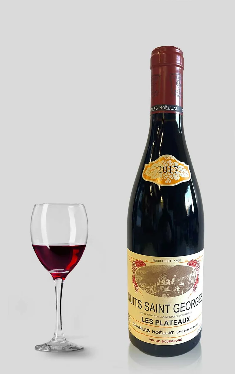 Nuits-Saint-Georges “Les Plateaux” Maison Charles Noëllat 2017