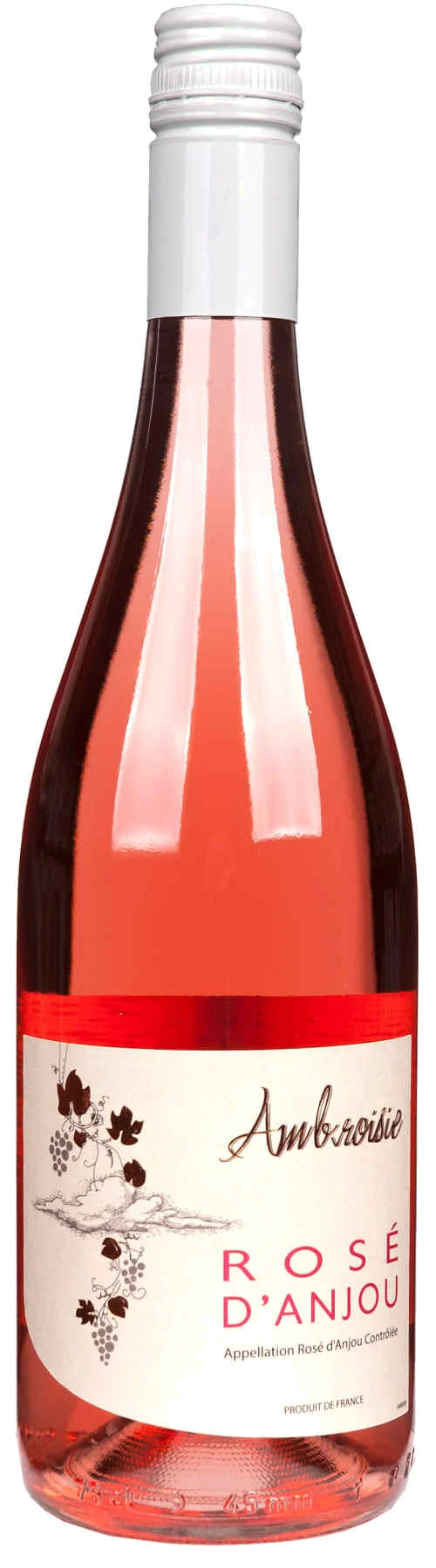 Ambroisie Rose d'Anjou