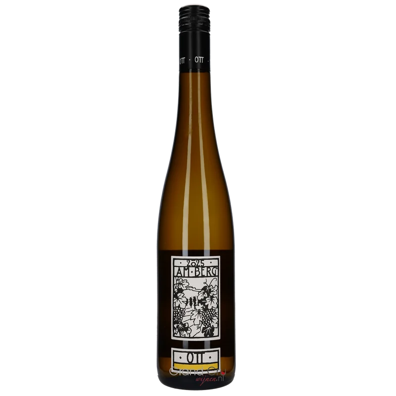 2025 Bernhard Ott Grüner Veltliner Am Berg BIO