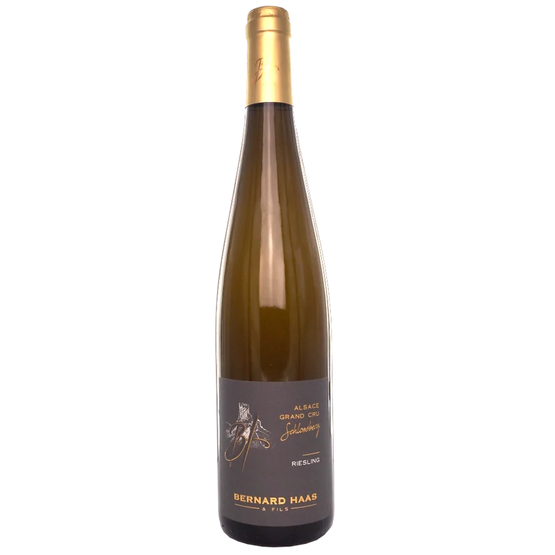 Bernard Haas Riesling Grand Cru Schlossberg 2023