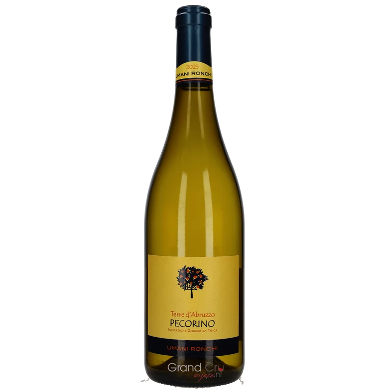 2025 Umani Ronchi Pecorino Terre di Chieti