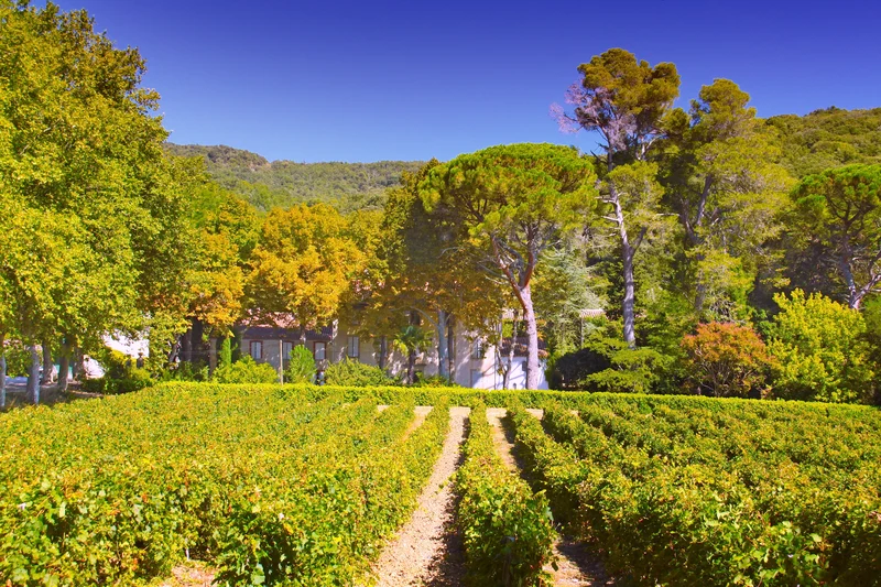 Château La Soujeole Grand Vin AOP Malepère 2020 – caisse Bois 6 Bouteilles 75cl vin rouge