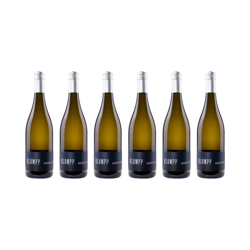 Auxerrois – 2025