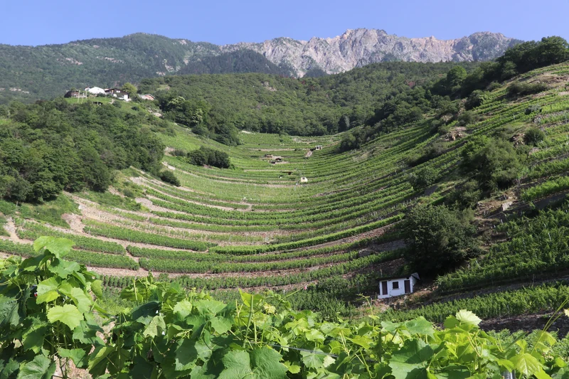 Fully und sein granithaltiges Terroir