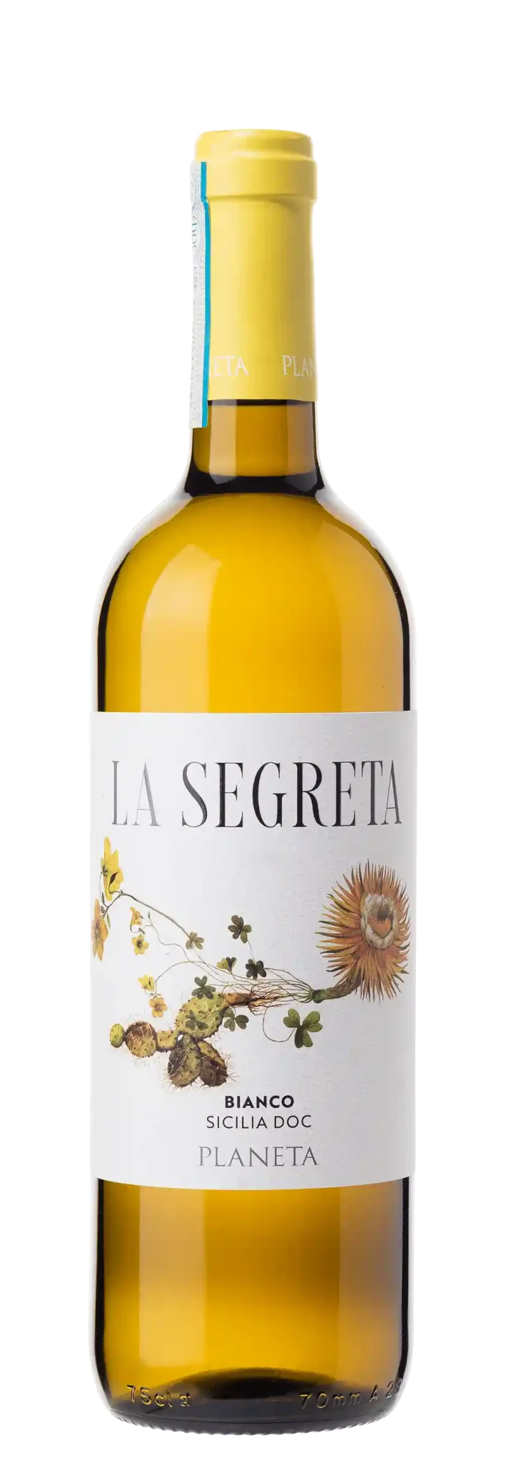 Planeta La Segreta bianco