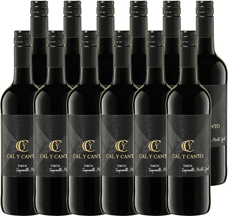Sparpaket 12× Cal Y Canto Tinto