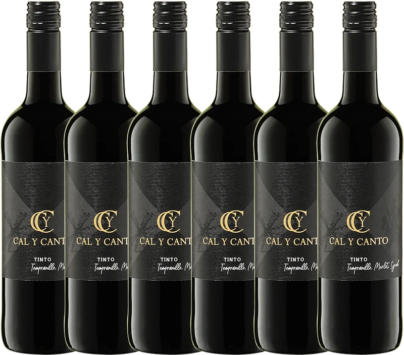 Sparpaket 6× Cal Y Canto Tinto