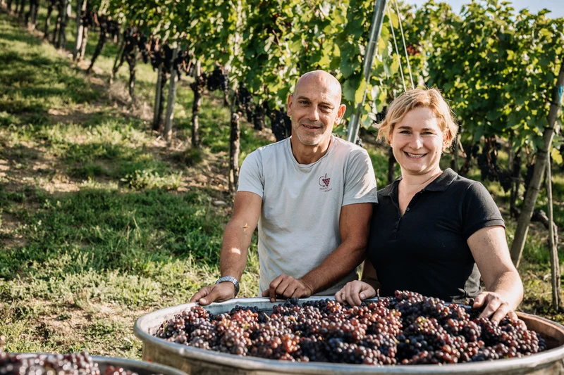 Weindegustation in der Vinothek