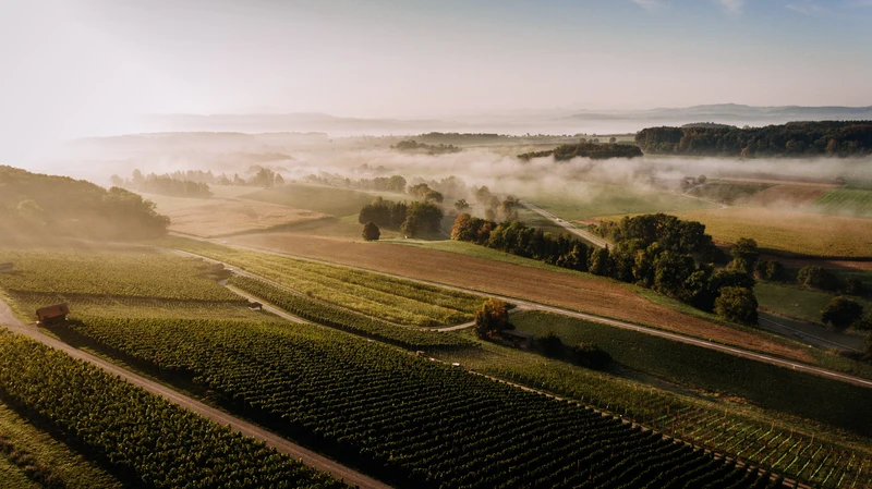 Weindegustation in der Vinothek