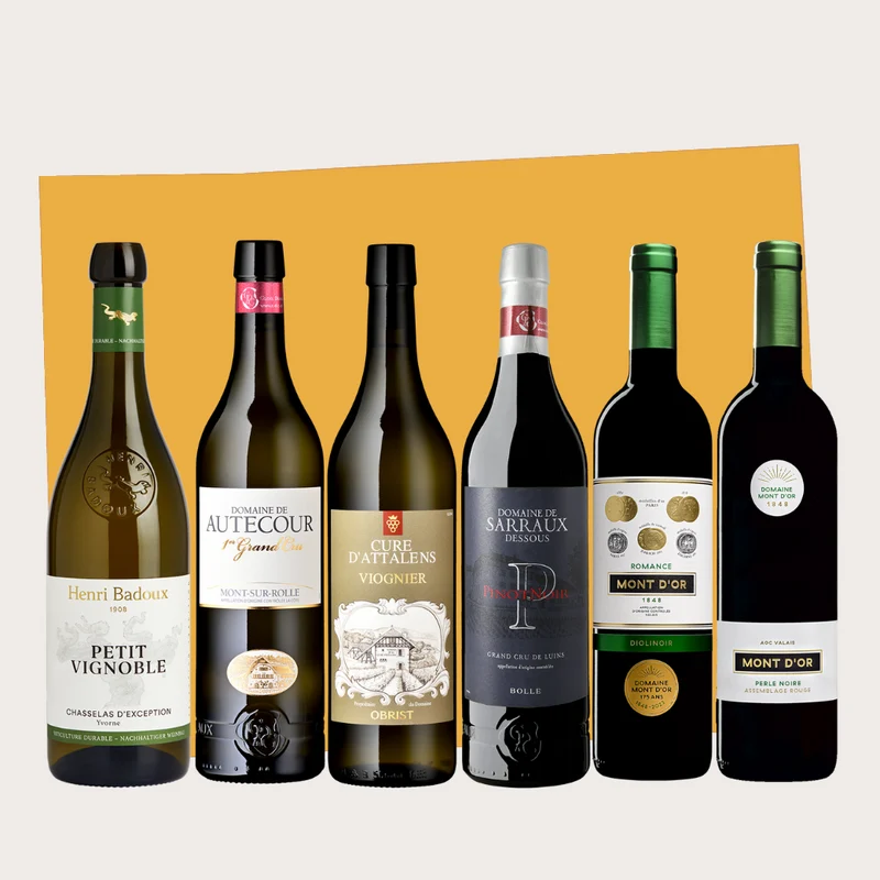 Carton découvertes : Domaines suisses (6 bouteilles)