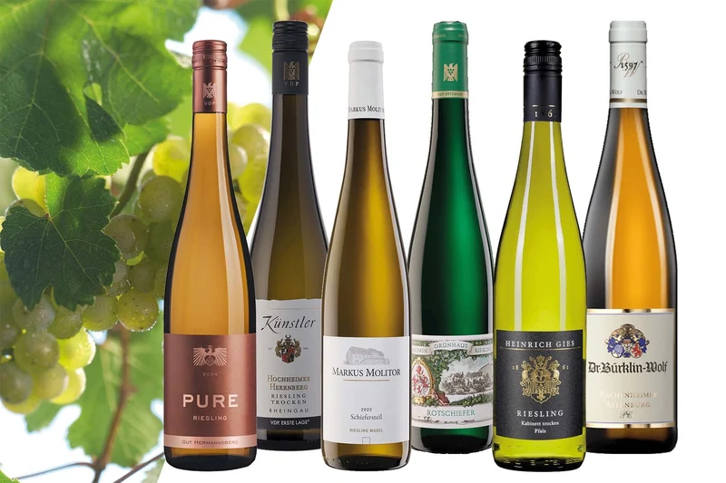 Riesling Masterclass
