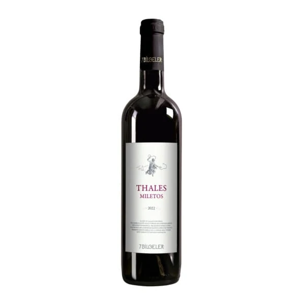 7 Bilgeler Thales Miletos