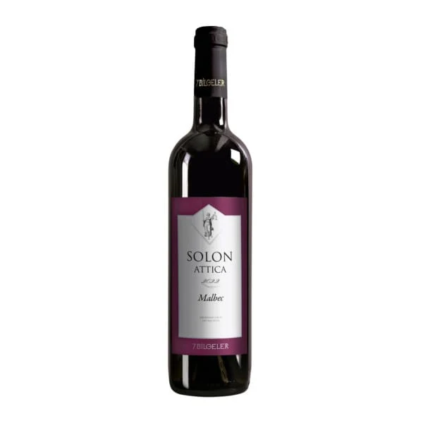 7 Bilgeler Solon Attica