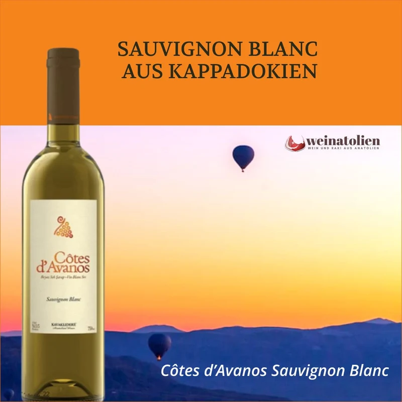 Côtes d’Avanos Sauvignon Blanc – Weißwein aus Kappadokien