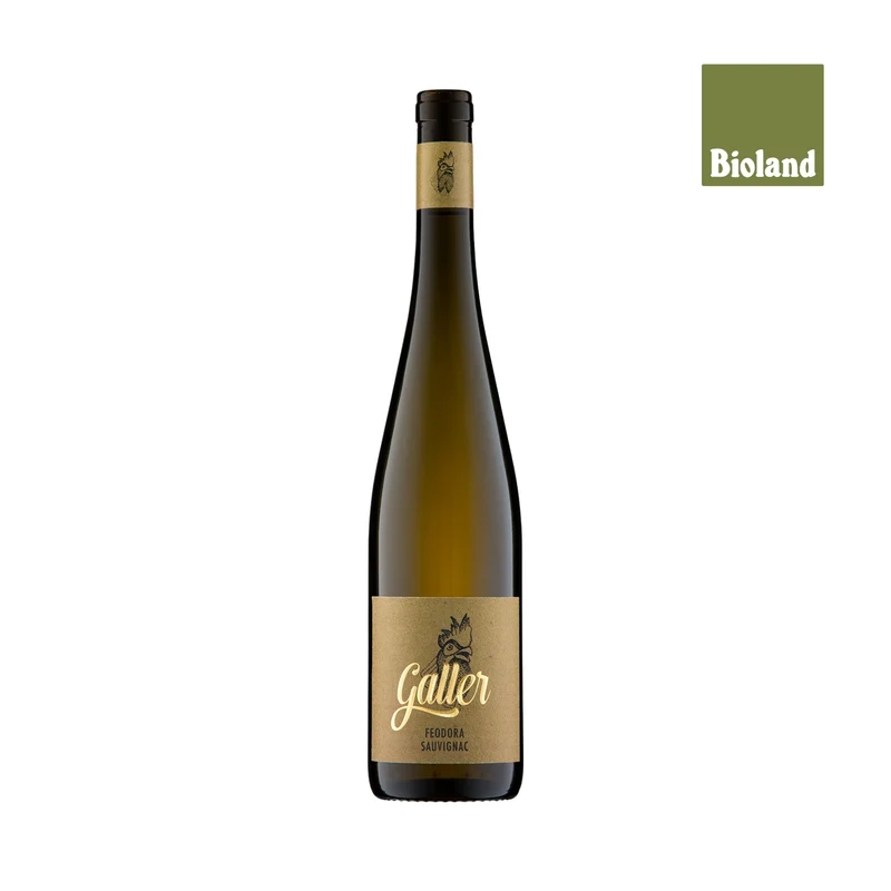 2022 Feodora · Sauvignac QbA trocken 0,75l (Kopie)