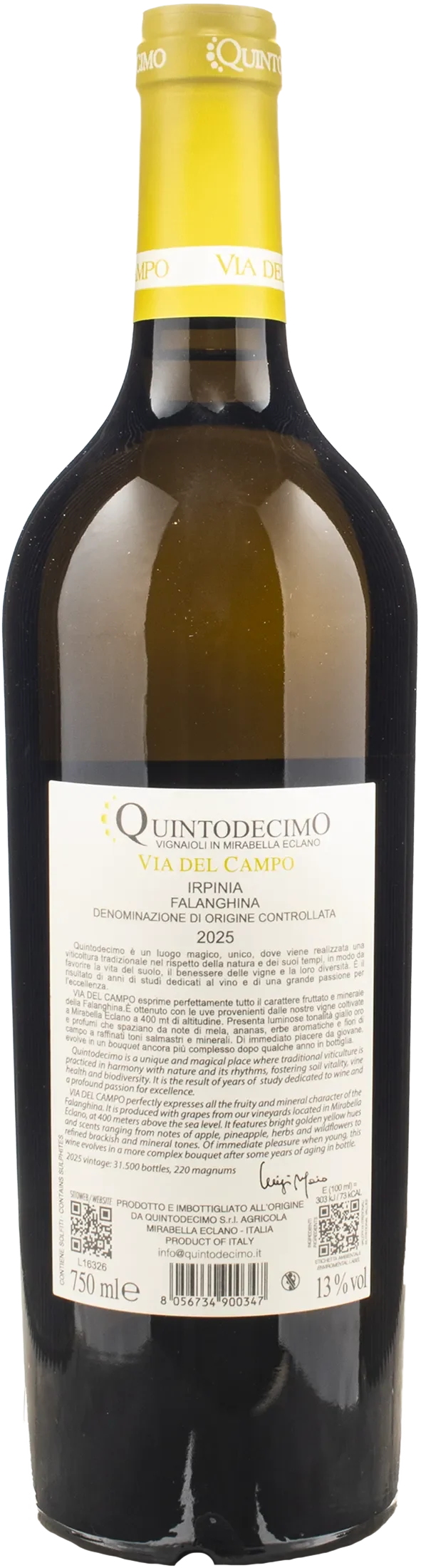 Quintodecimo Irpinia Falanghina Via del Campo 2025