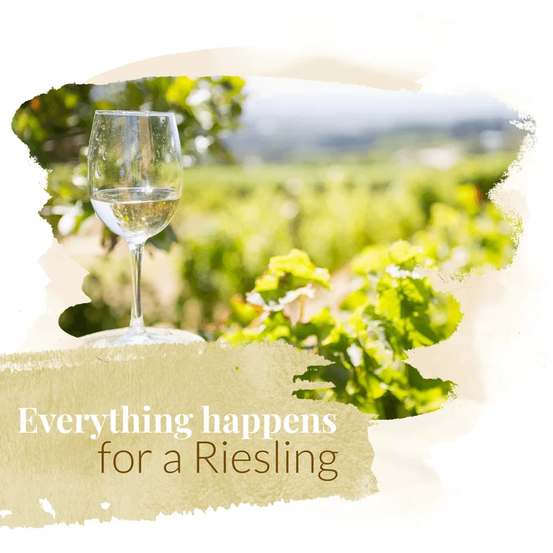 Riesling ist Riesling ist Unsinn