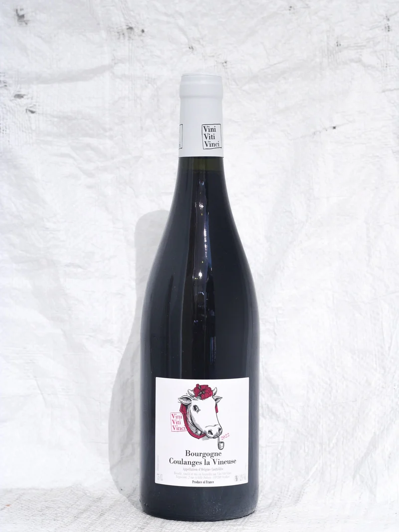Coulanges la Vineuse 2022 0,75L