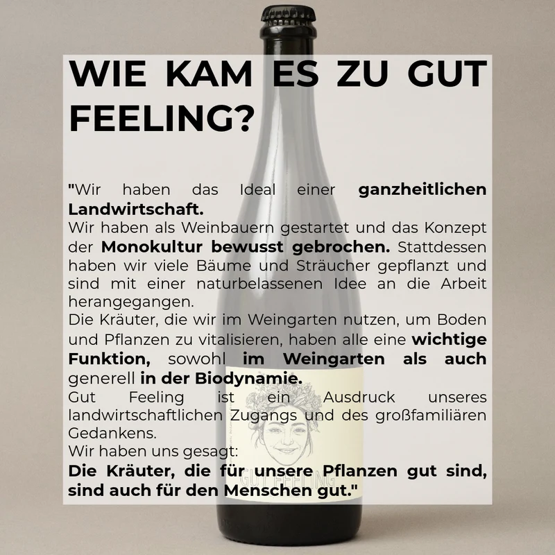 Gut Feeling by Gut Oggau NV 0,75L