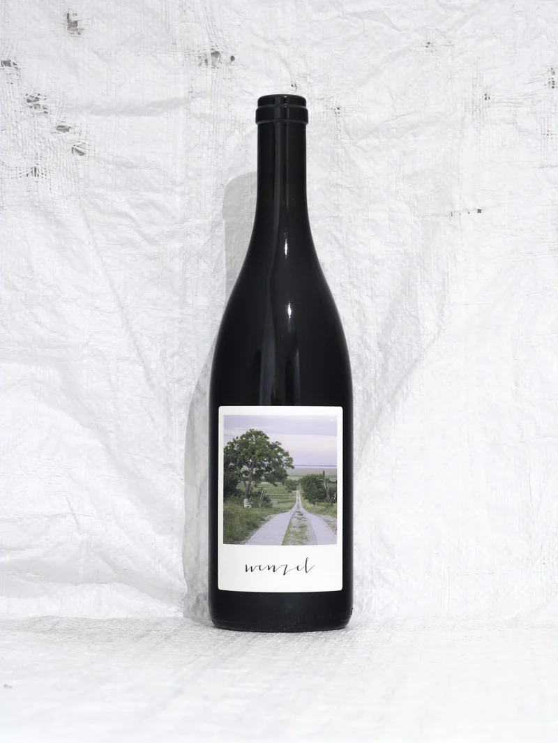 Pinot Noir Analogue N°9 2024 0,75L Bio