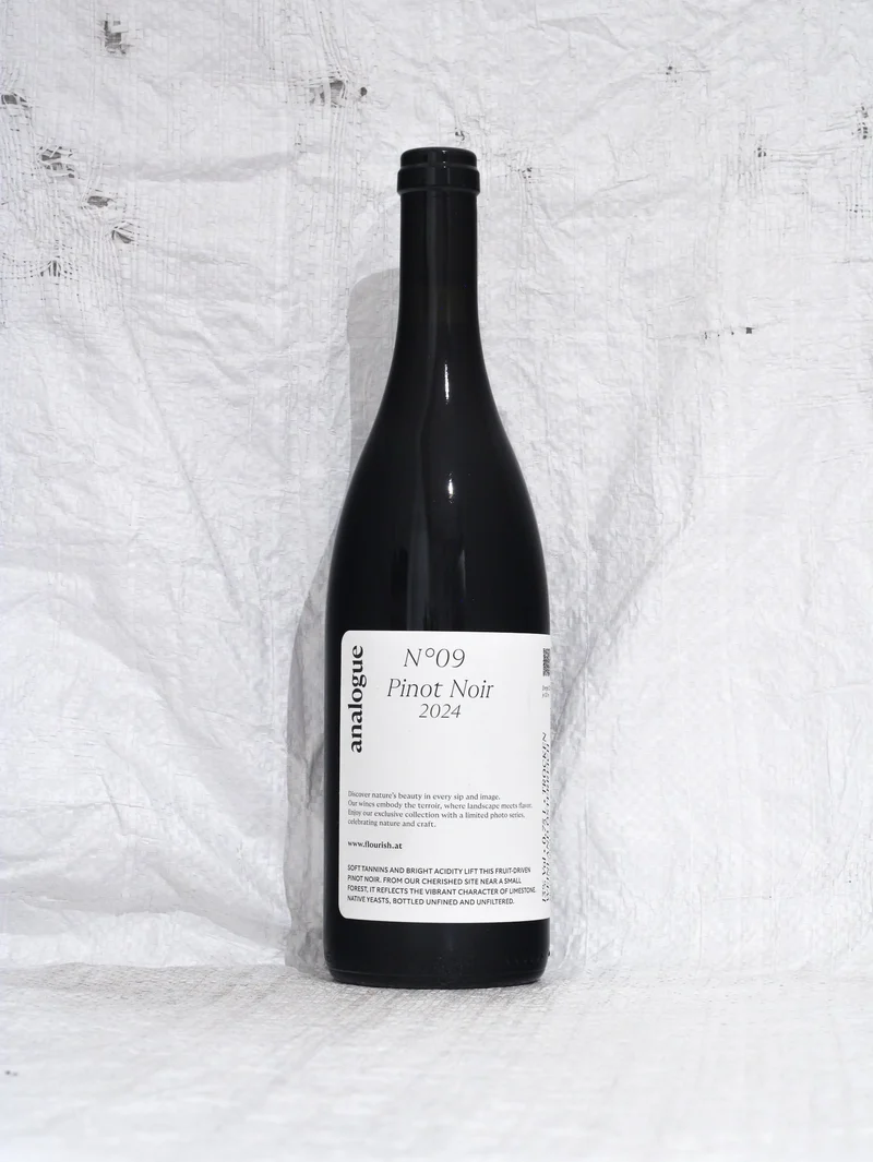 Pinot Noir Analogue N°9 2024 0,75L Bio