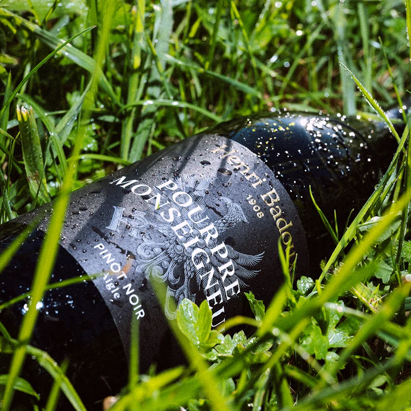Pourpre Monseigneur, Pinot Noir