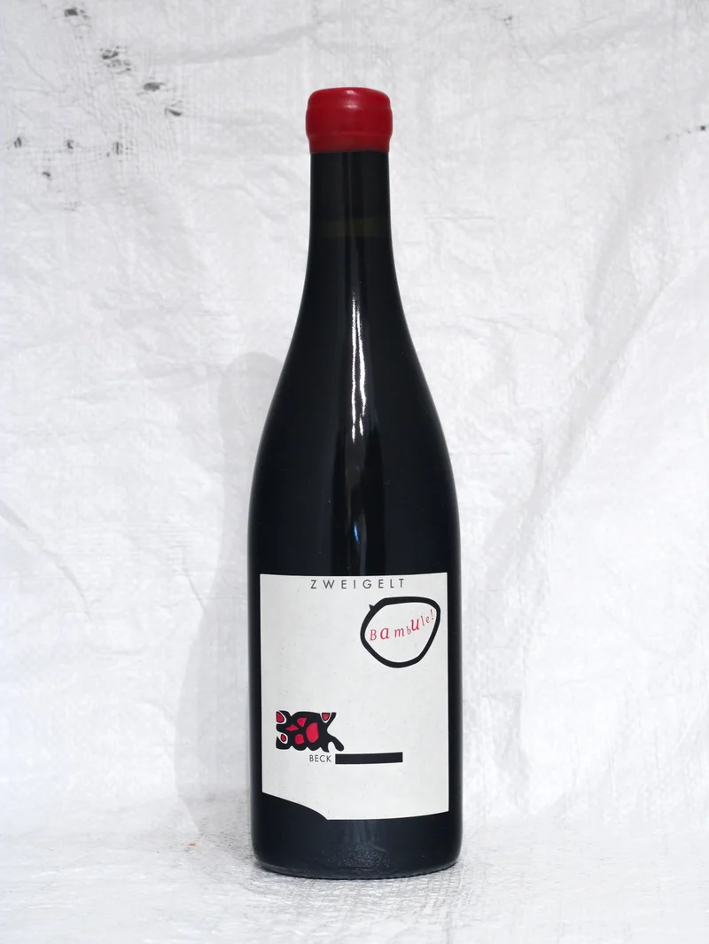 Zweigelt Bambule 2019 0,75l Bio