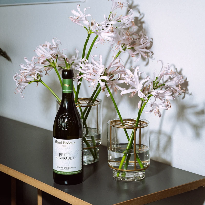 Yvorne Petit Vignoble BIO