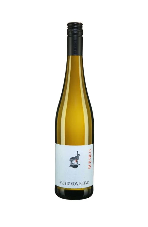Sauvignon Blanc trocken 2025 BIO