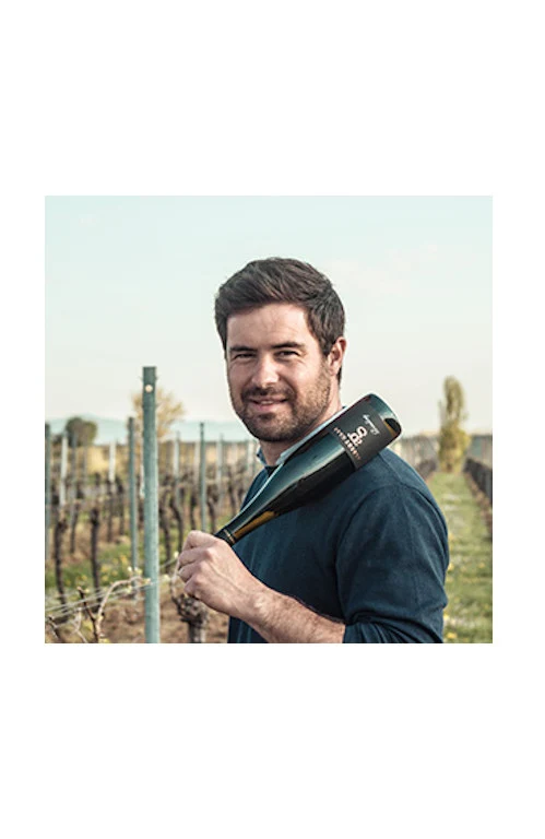 Weingut Albert Glas - KennenlernPaket