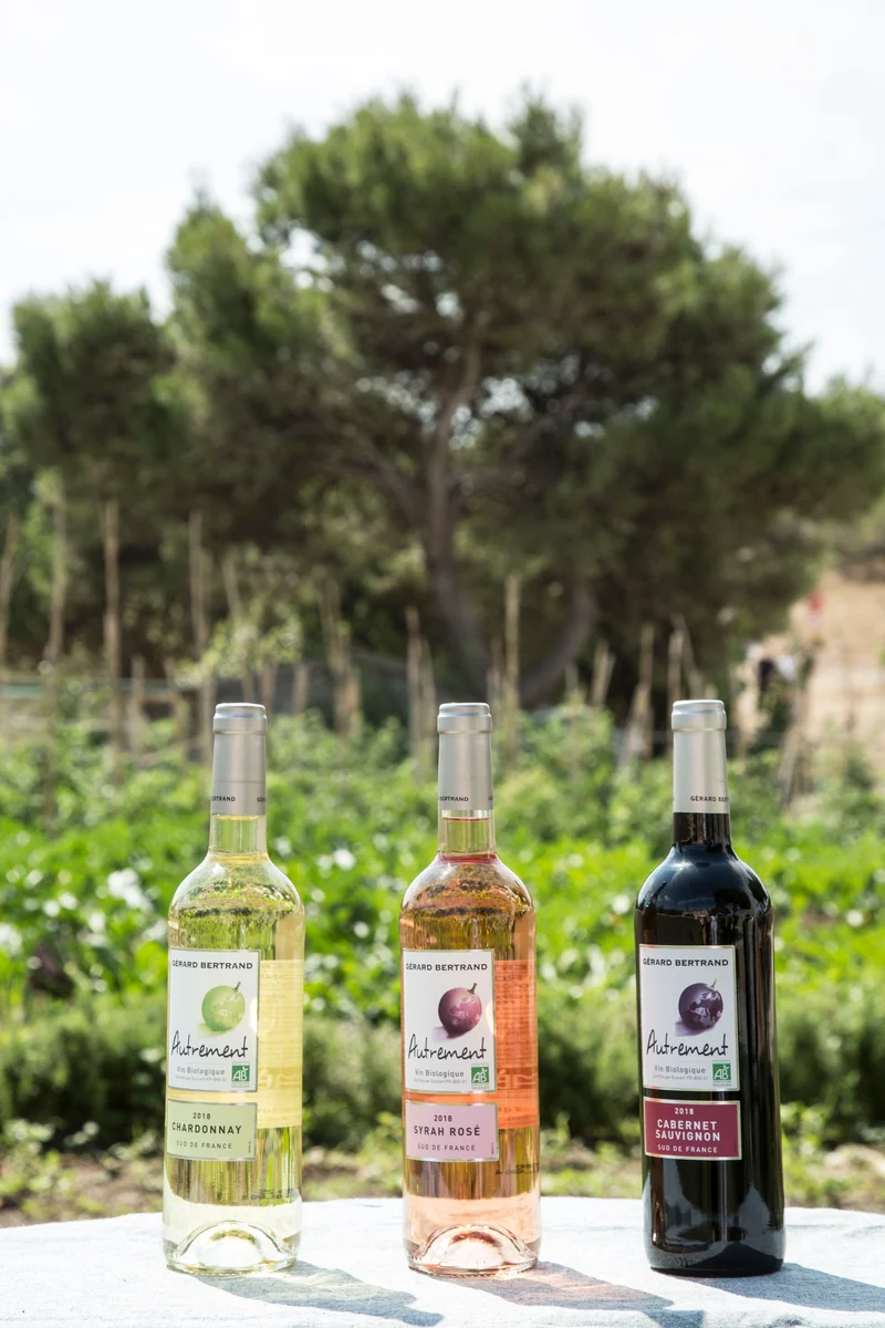Autrement Grenache IGP Pays d'Oc 2025 – Lot 6 bouteilles 75cl vin rosé