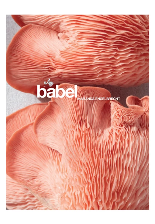 Babylonstoren Kochbuch
