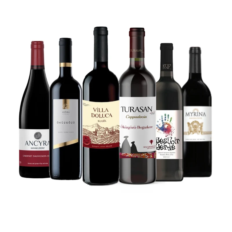 Rotwein Probierpaket – 6 türkische Weine | Weinatolien