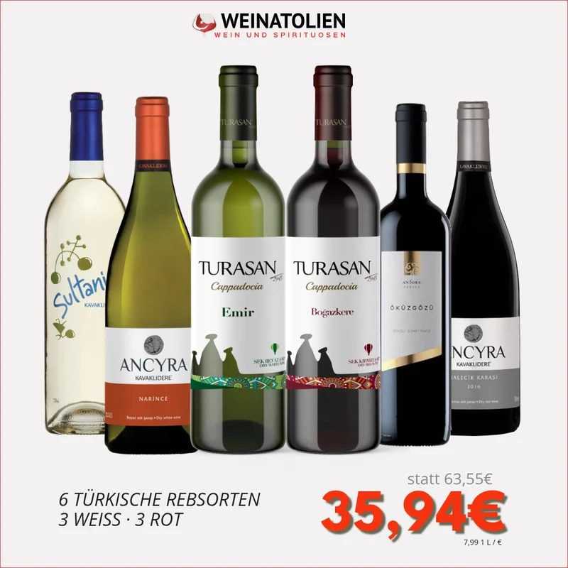 Türkische Rebsorten – Probierpaket mit 6 Weinen
