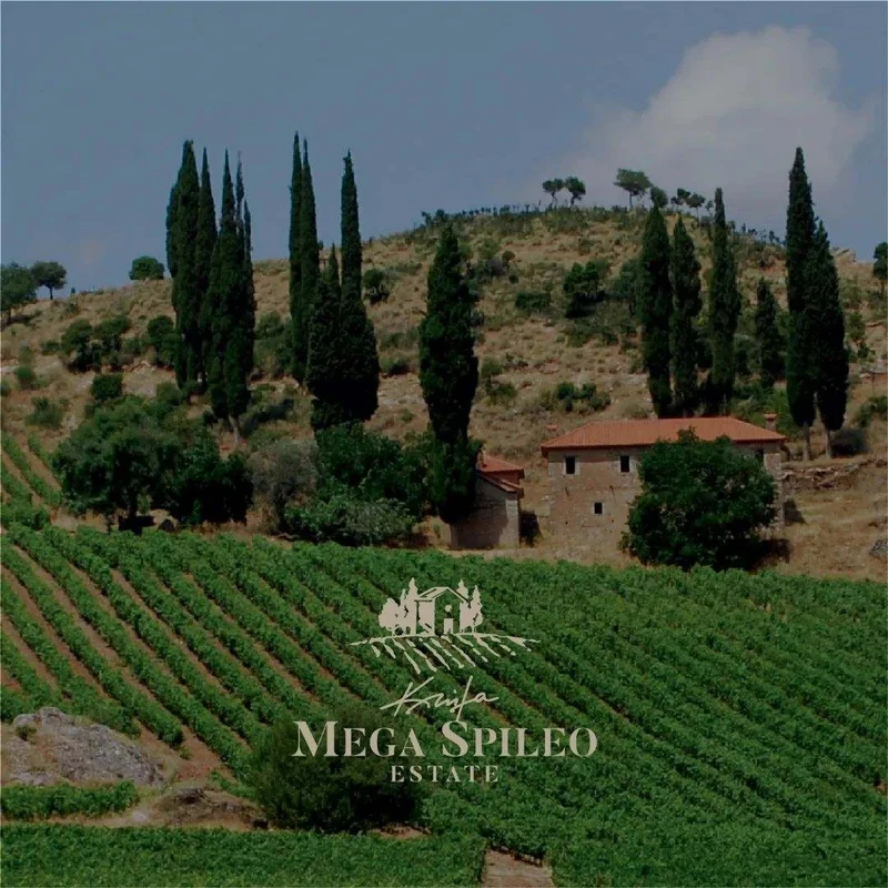 Mega Spileo Cuvee III Rot