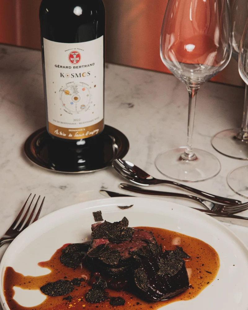 Kosmos jour Hommage à Saint Exupéry Vin de France 2022 – 75cl avec son étui cadeau vin rouge