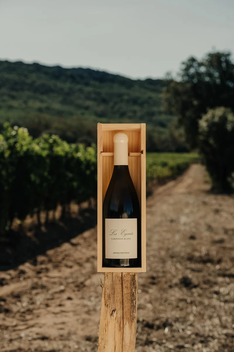 Les Égarés Carignan Blanc Unitaire Vin de France 2023 – 75cl Caisse Bois vin blanc