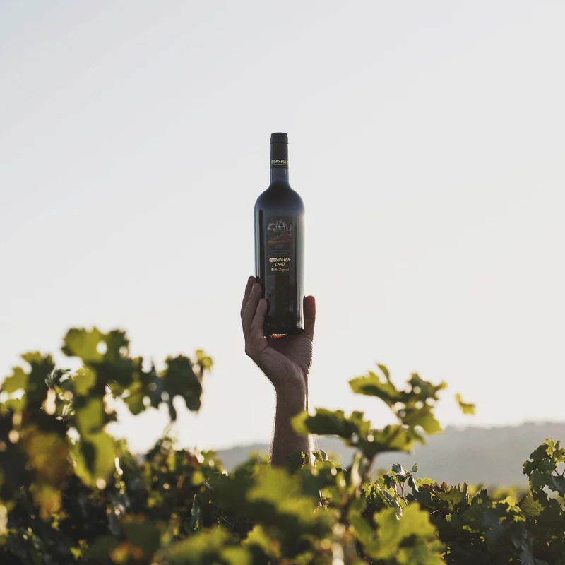 Oenotria Land Syrah-Agiorgitiko Attika PGI