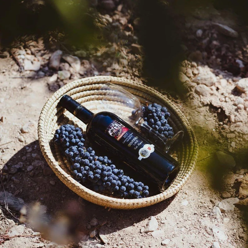 Oenotria Land Syrah-Agiorgitiko Attika PGI