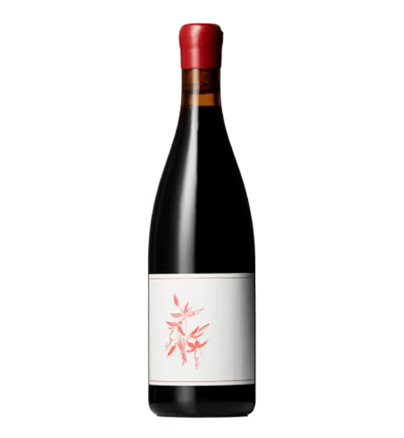 Arnot-Roberts Pinot Noir Fox Creek Carmel Valley 2023