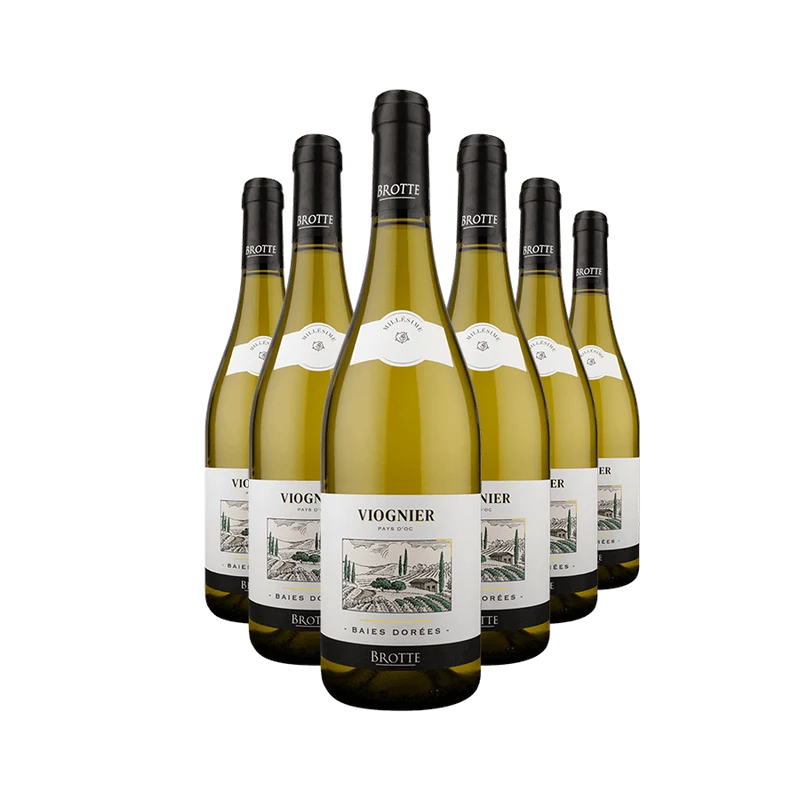 „Viognier Baies Dorées“ – Wein des Monats Oktober